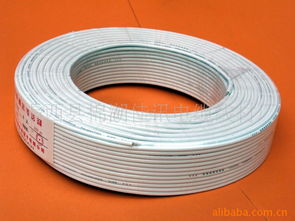 揭西县棉湖佳讯电缆线材厂的网络线 品质铸就高效互联